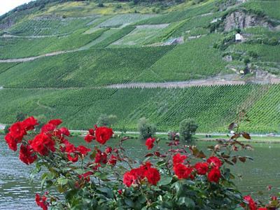 Anneliese Schmitgen Bed & Breakfast Bernkastel-Kues Luaran gambar